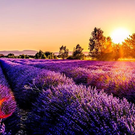 Апартаменты Chez Marius Gordes Vue Panoramique Sur Luberon Экстерьер фото